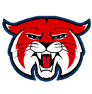 Lower Delco Wildcats